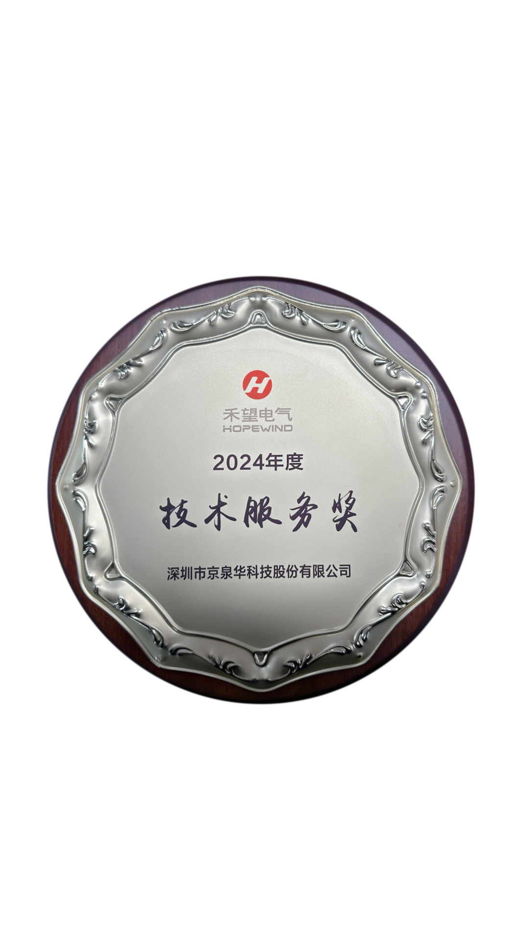 禾望电气-手艺效劳奖